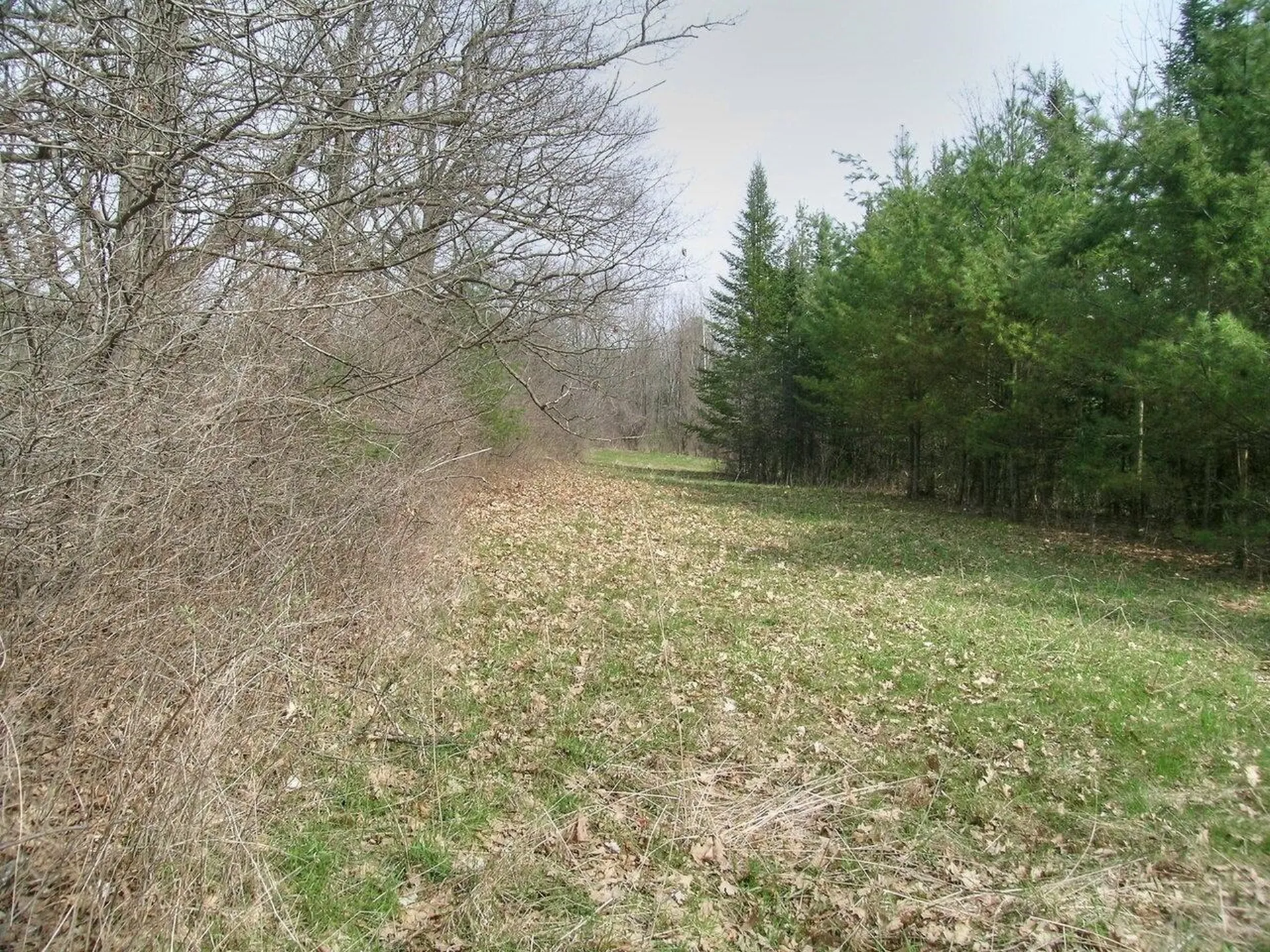 Lot #4 Mount Philo Road Charlotte VT 05445