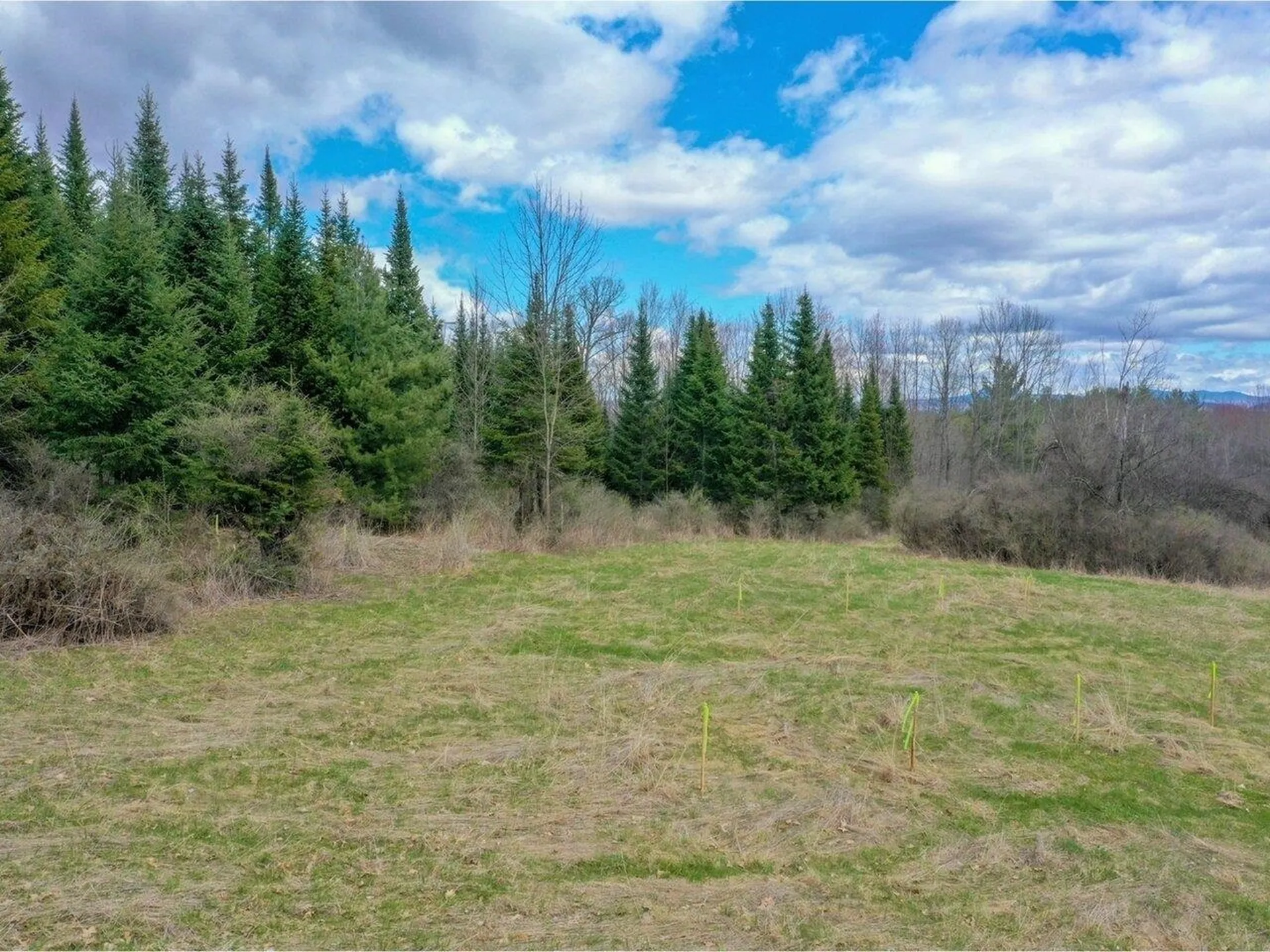 Lot #4 Mount Philo Road Charlotte VT 05445