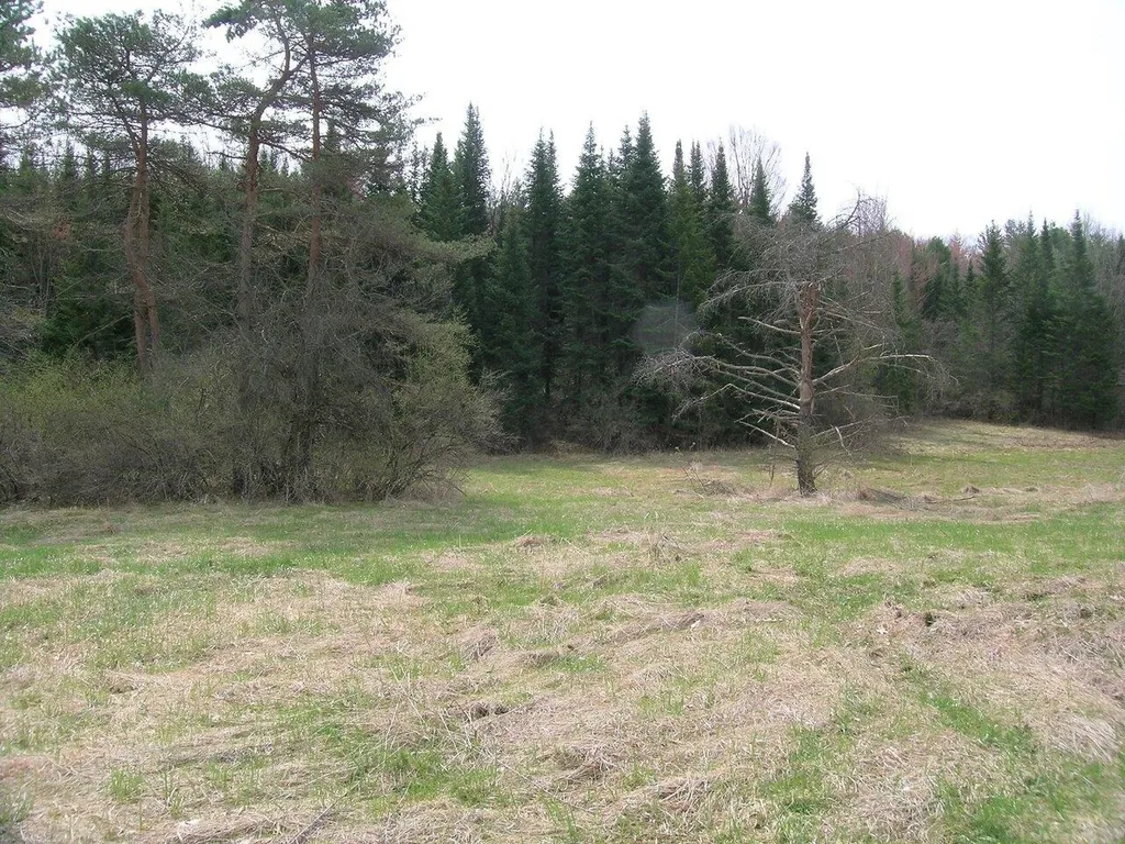 Lot #2 Mount Philo Road Charlotte VT 05445