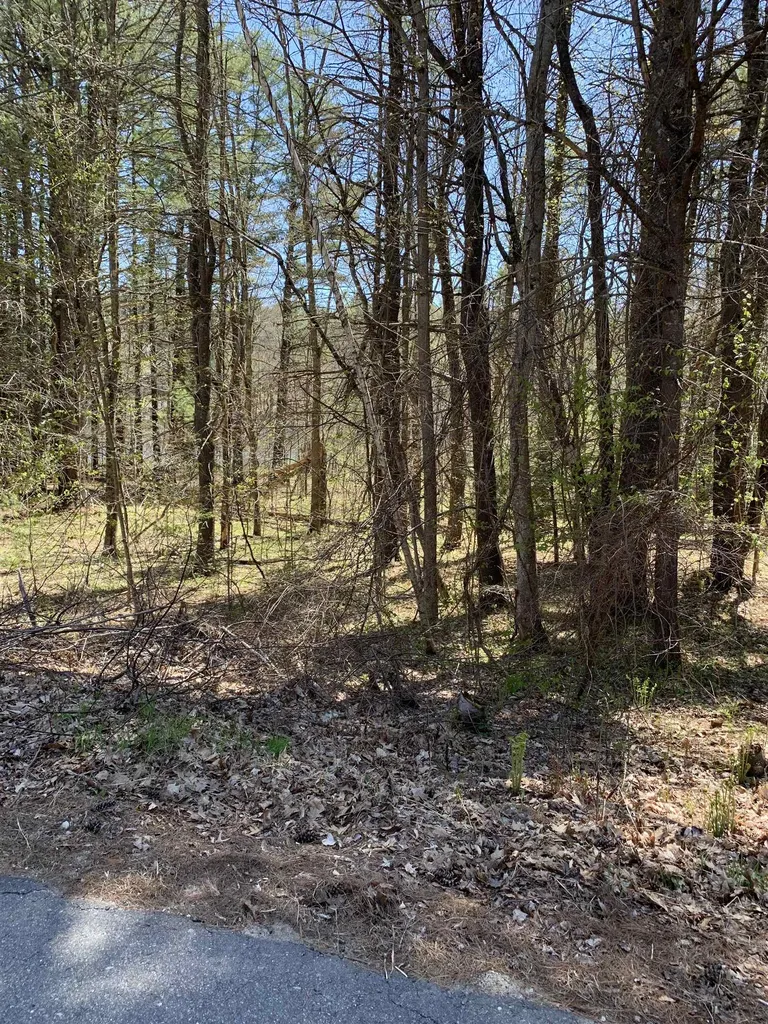 Lot 19 Winant Road Pittsfield NH 03263