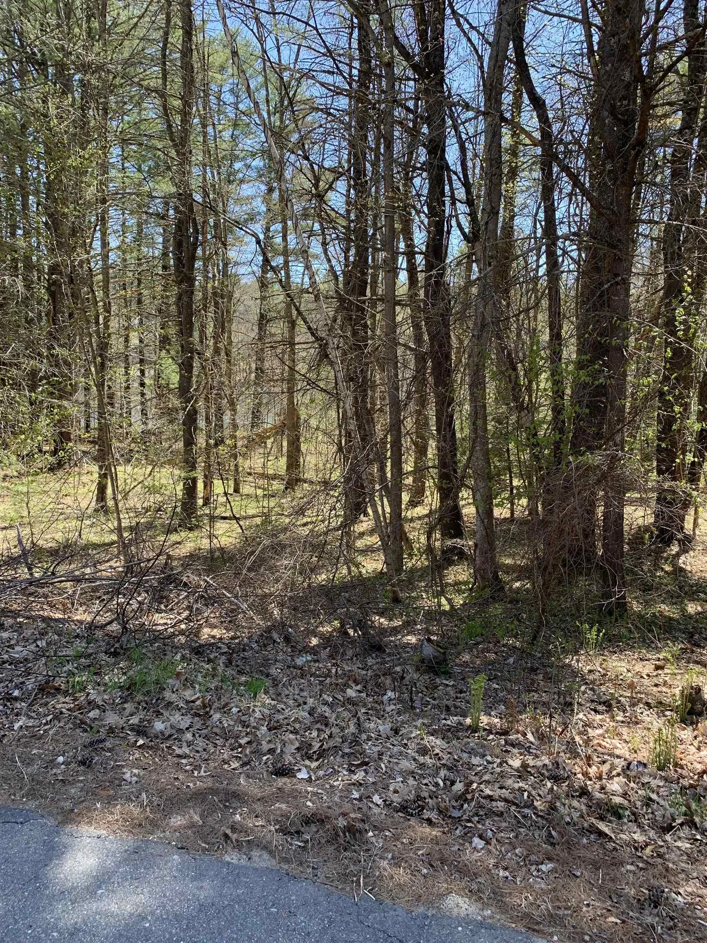 Lot 19 Winant Road Pittsfield NH 03263