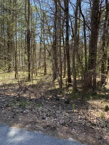 Lot 19 Winant Road Pittsfield NH 03263
