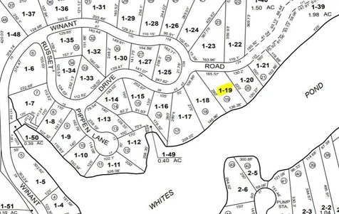 Lot 19 Winant Road Pittsfield NH 03263
