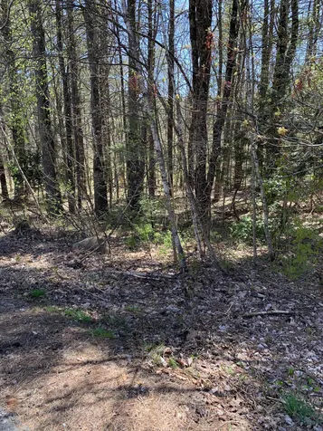 Lot 19 Winant Road Pittsfield NH 03263