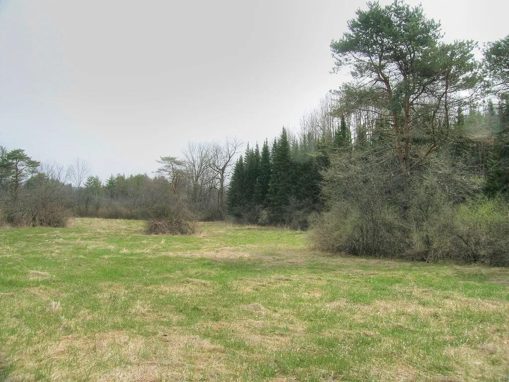 Lot #3 Mount Philo Road Charlotte VT 05445