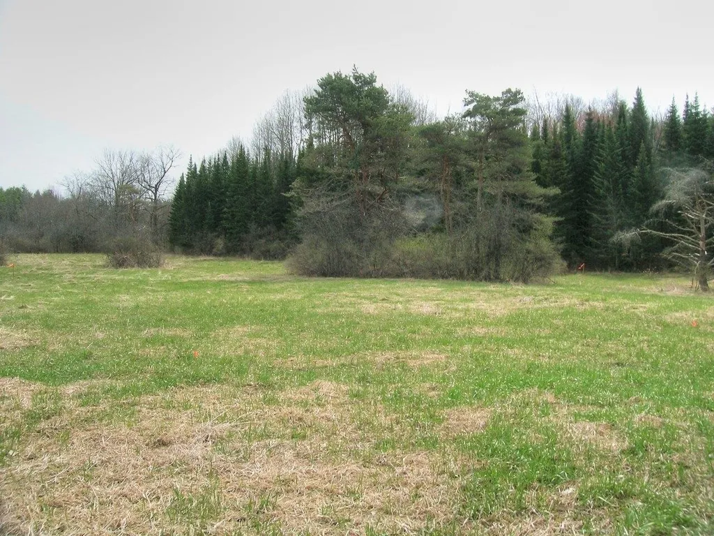 Lot #3 Mount Philo Road Charlotte VT 05445