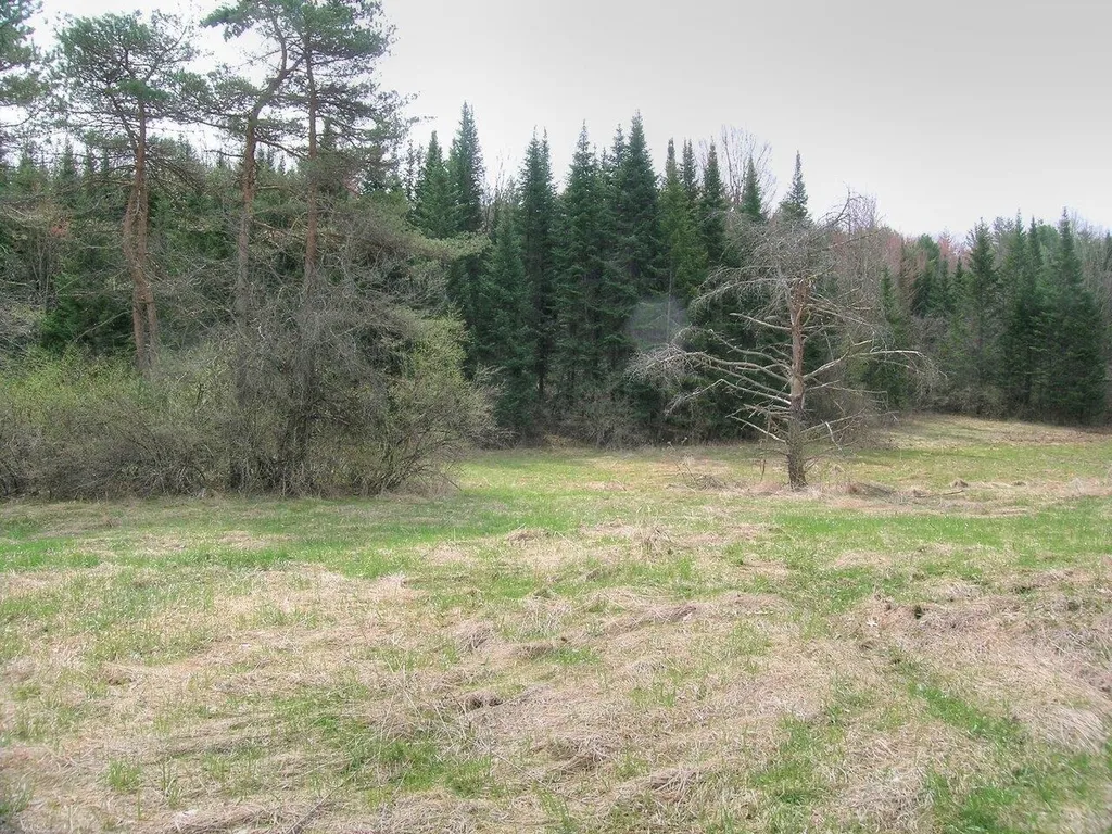 Lot #3 Mount Philo Road Charlotte VT 05445