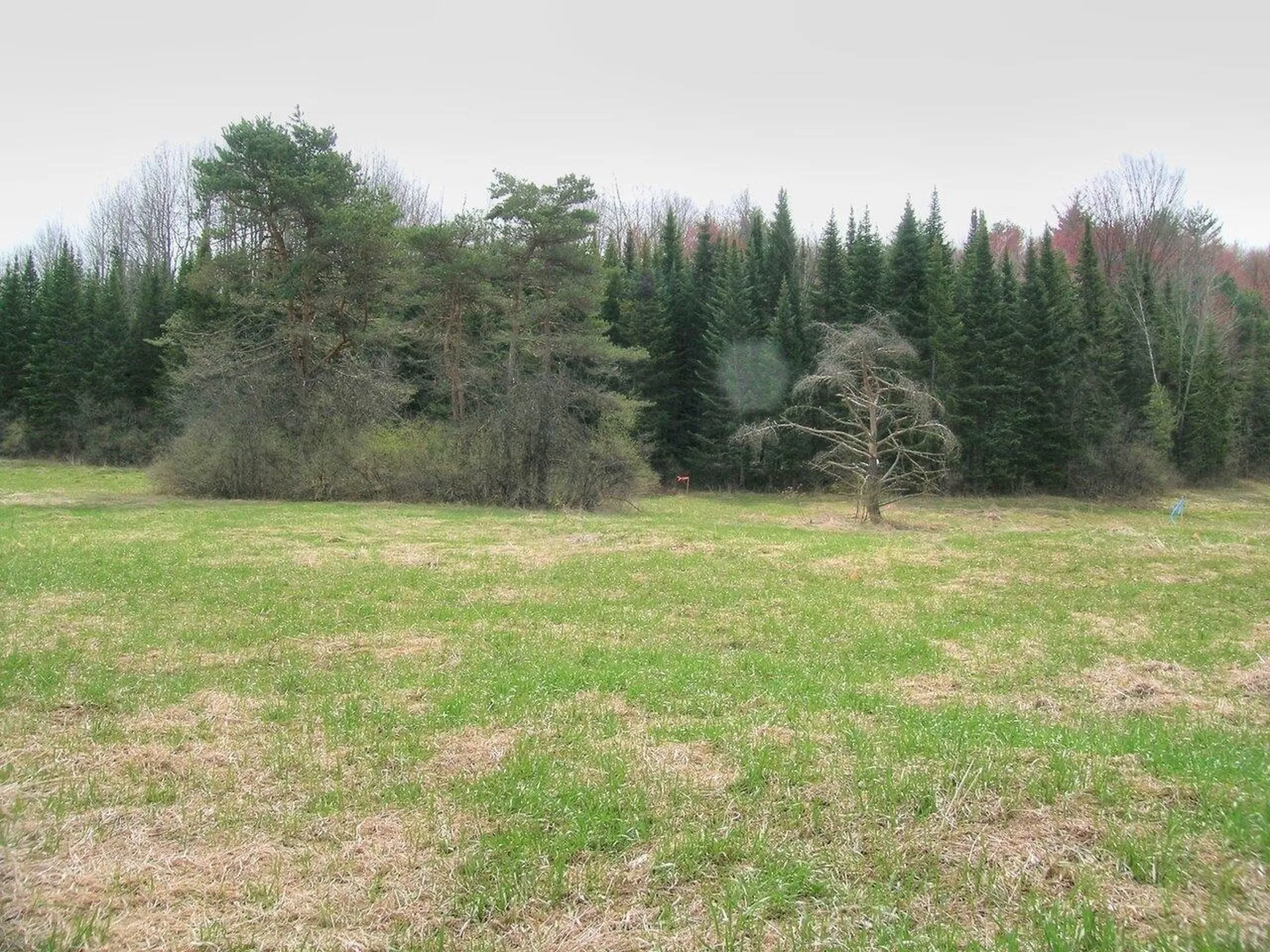 Lot #3 Mount Philo Road Charlotte VT 05445