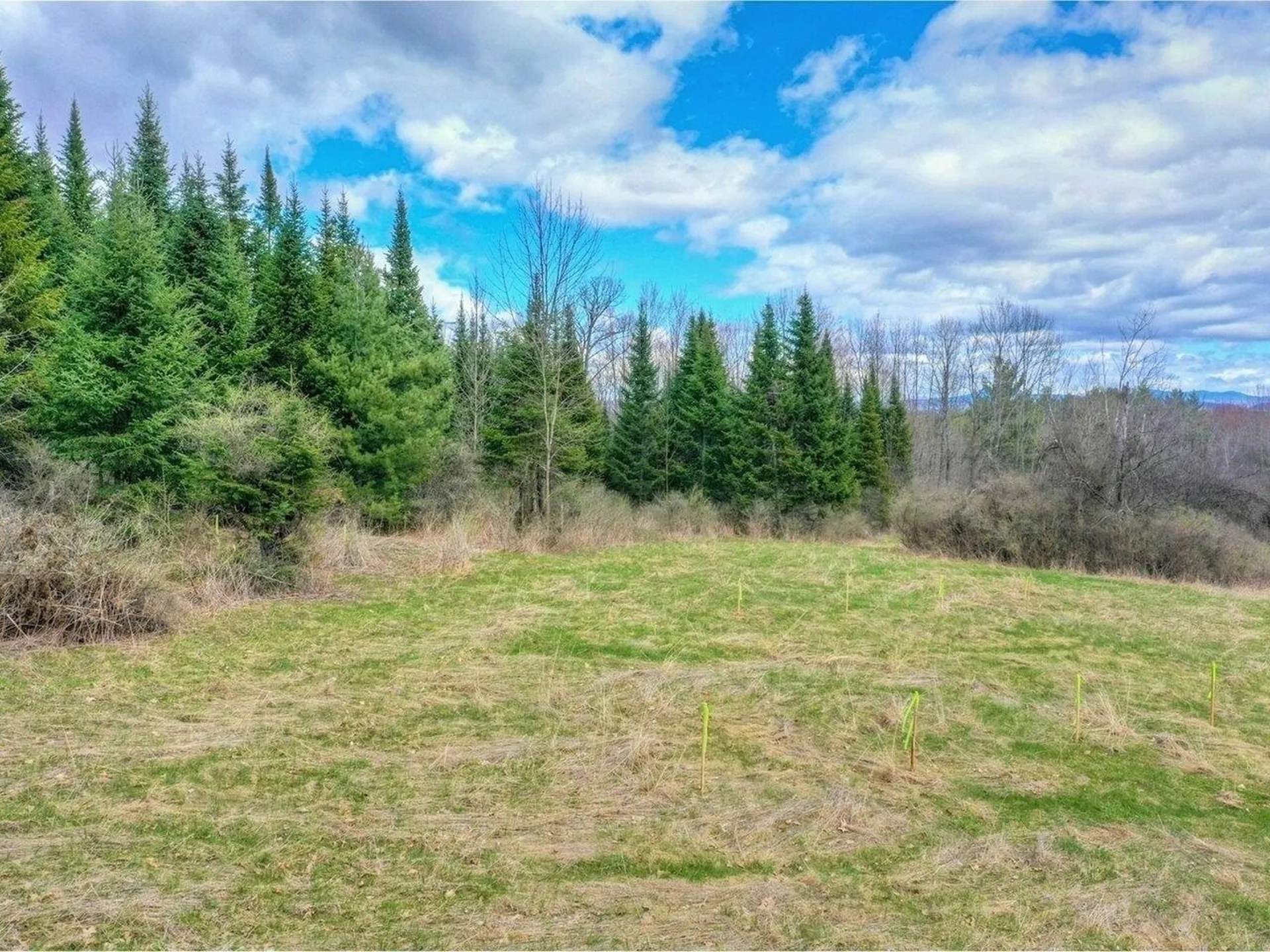 Lot #3 Mount Philo Road Charlotte VT 05445