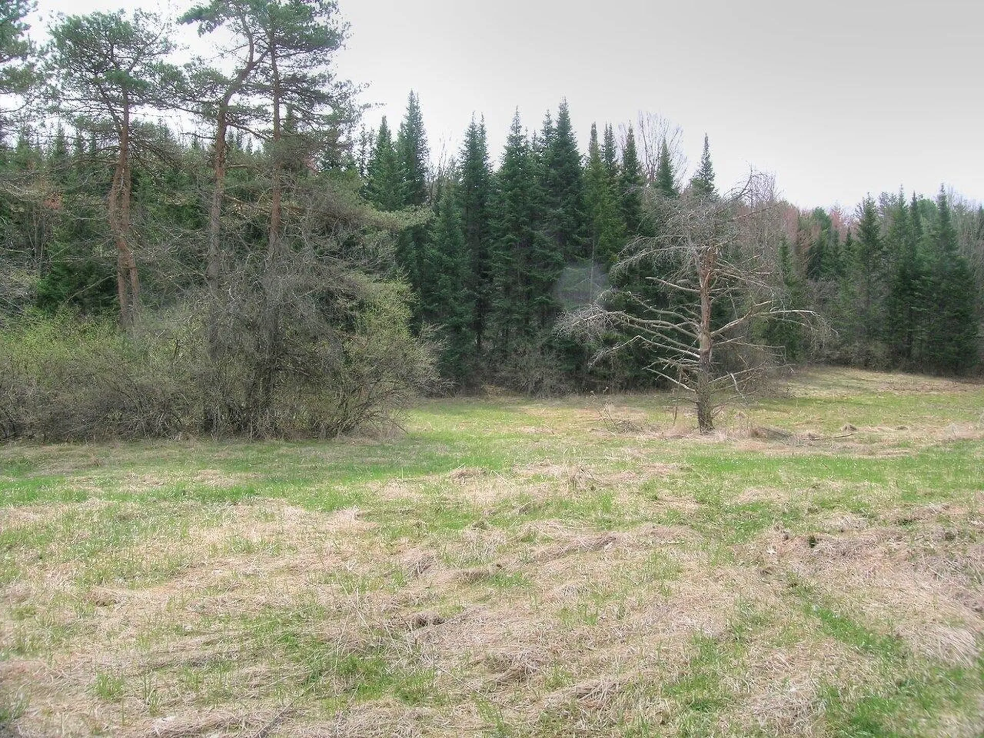 Lot #3 Mount Philo Road Charlotte VT 05445