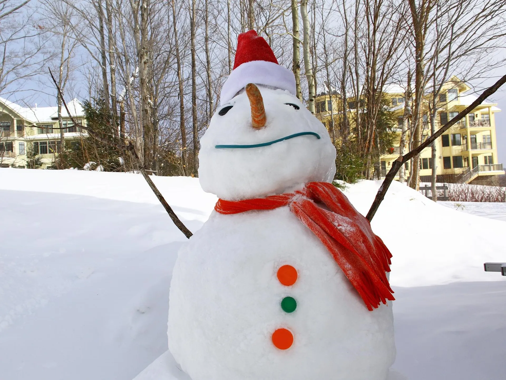 51 Sugarbush Village Drive Warren VT 05674