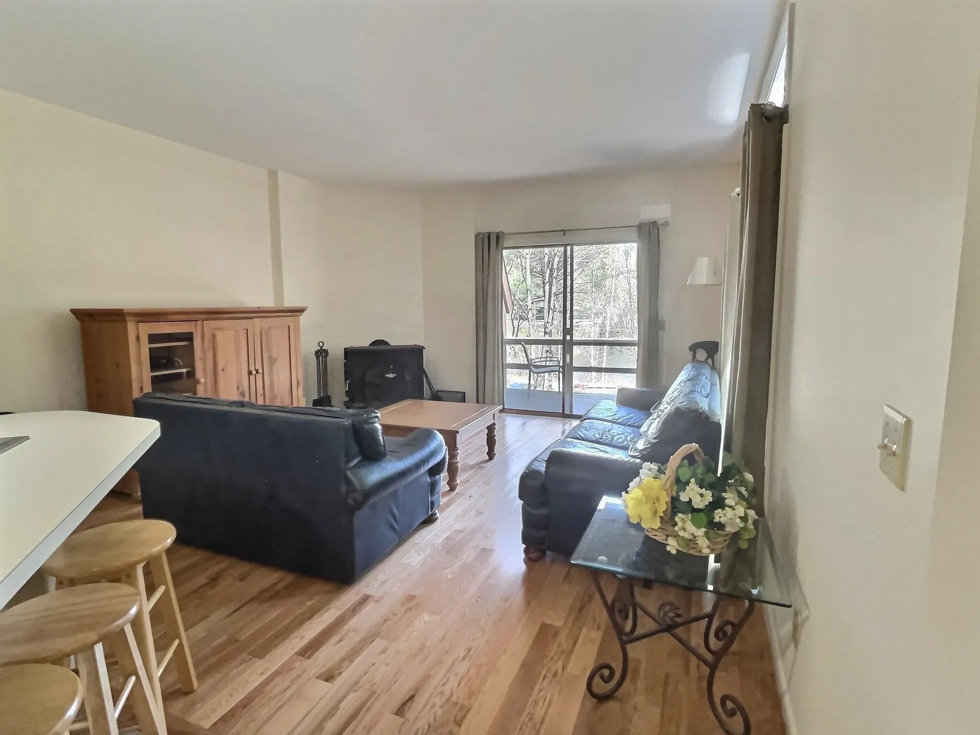 8 Bay Tree Lane Grantham NH 03753