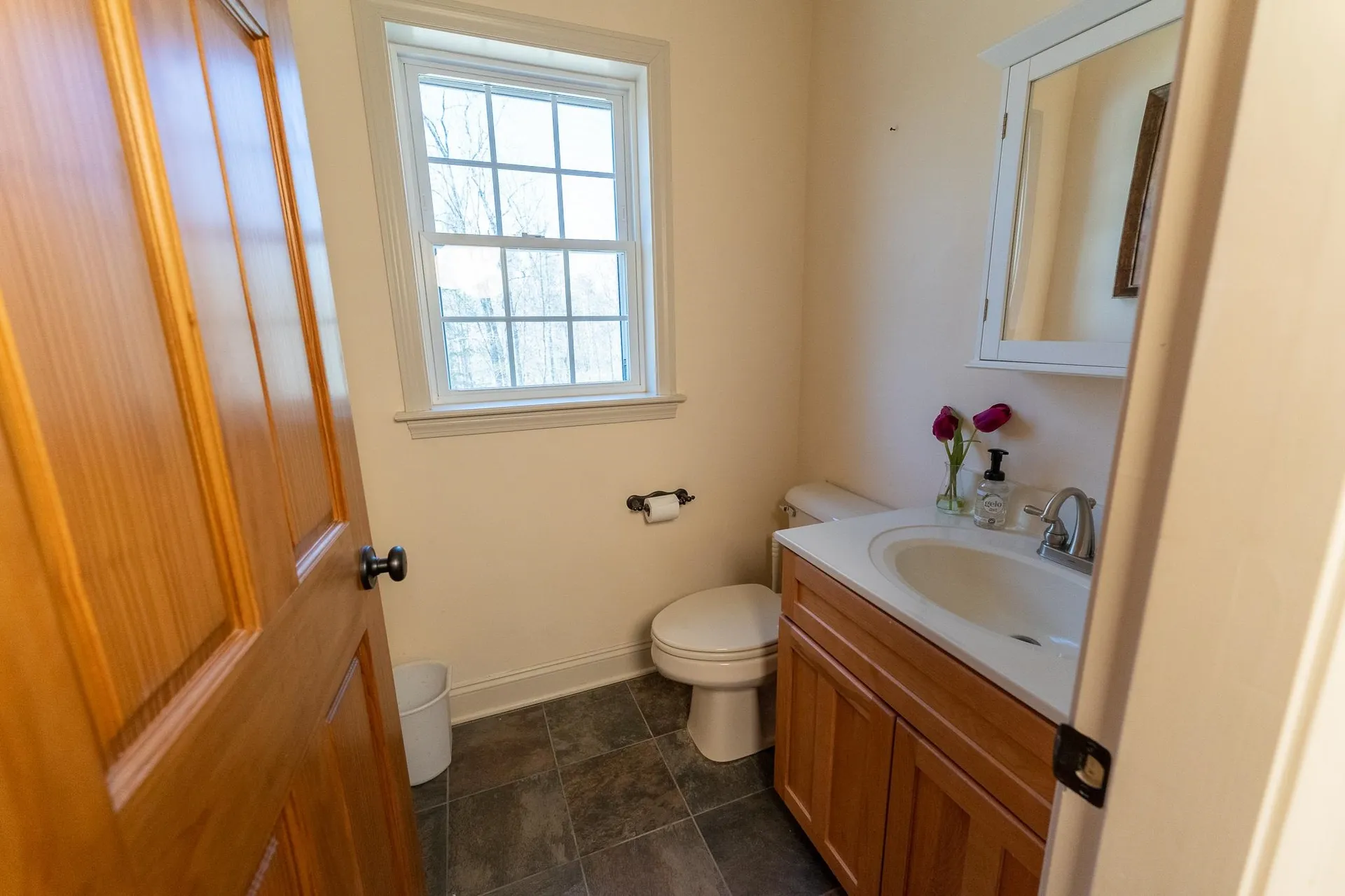 30 Calef Drive Alton NH 03809