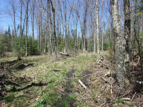 809 Station Road Sutton VT 05867
