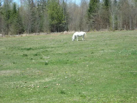809 Station Road Sutton VT 05867