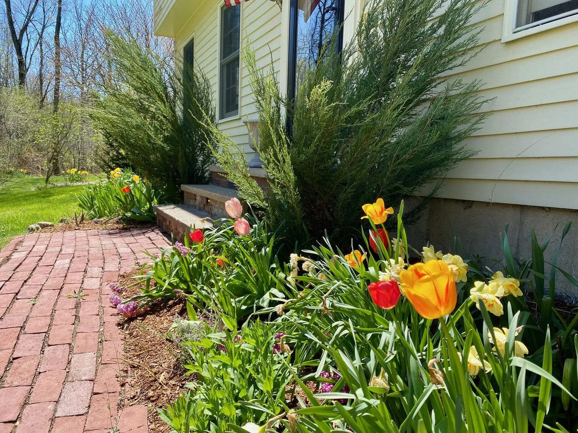 498 Governors Lane Shelburne VT 05482