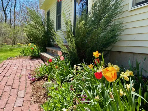498 Governors Lane Shelburne VT 05482