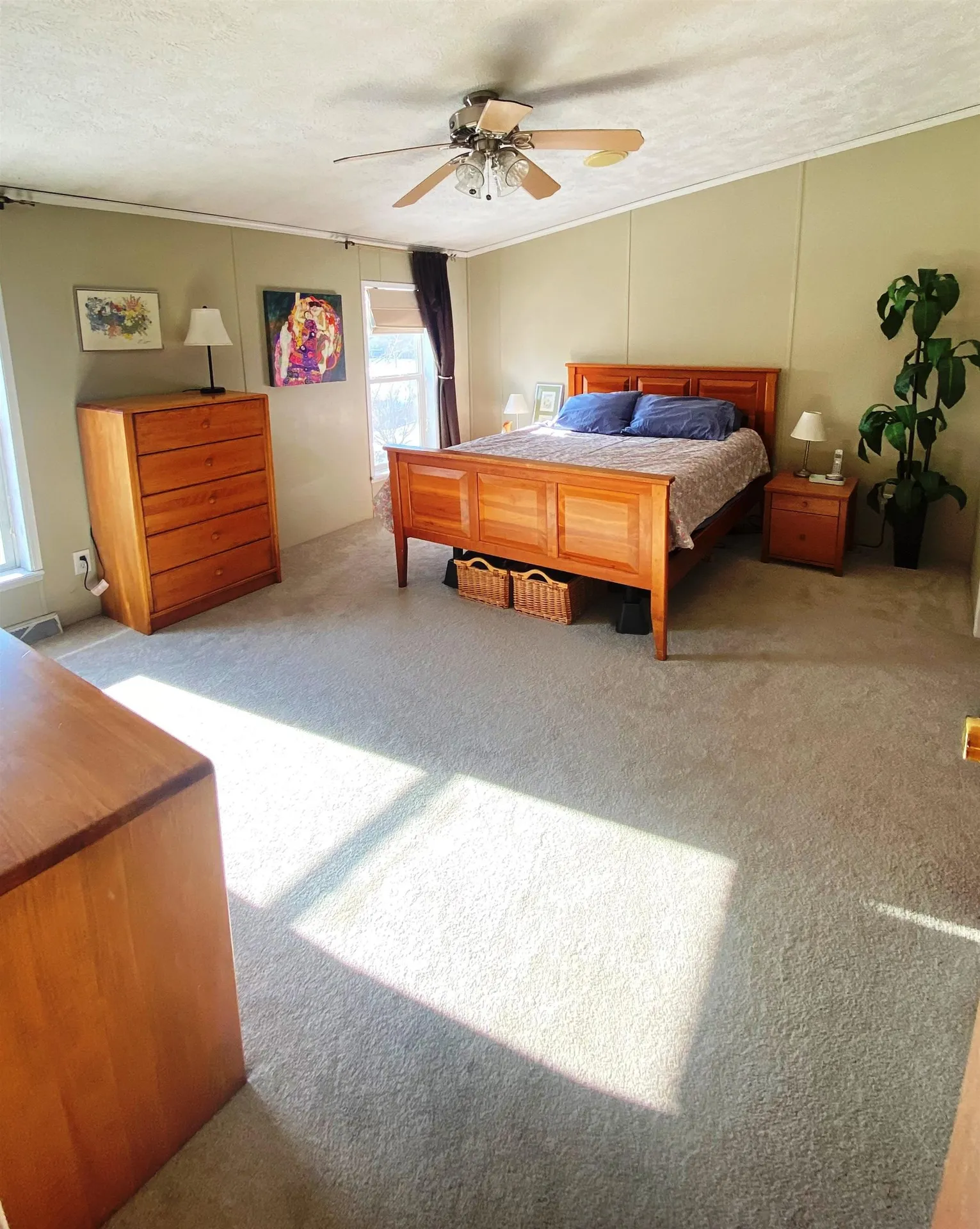 58 Mountain Terrace Bristol VT 05443