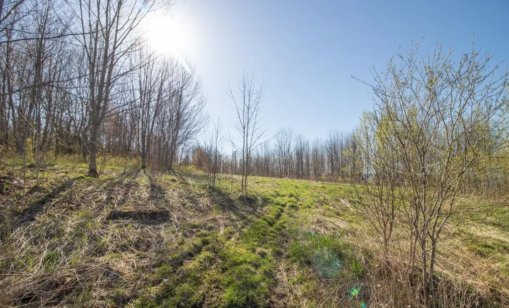3391 Carter Road Lowell VT 05847
