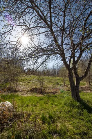 3391 Carter Road Lowell VT 05847
