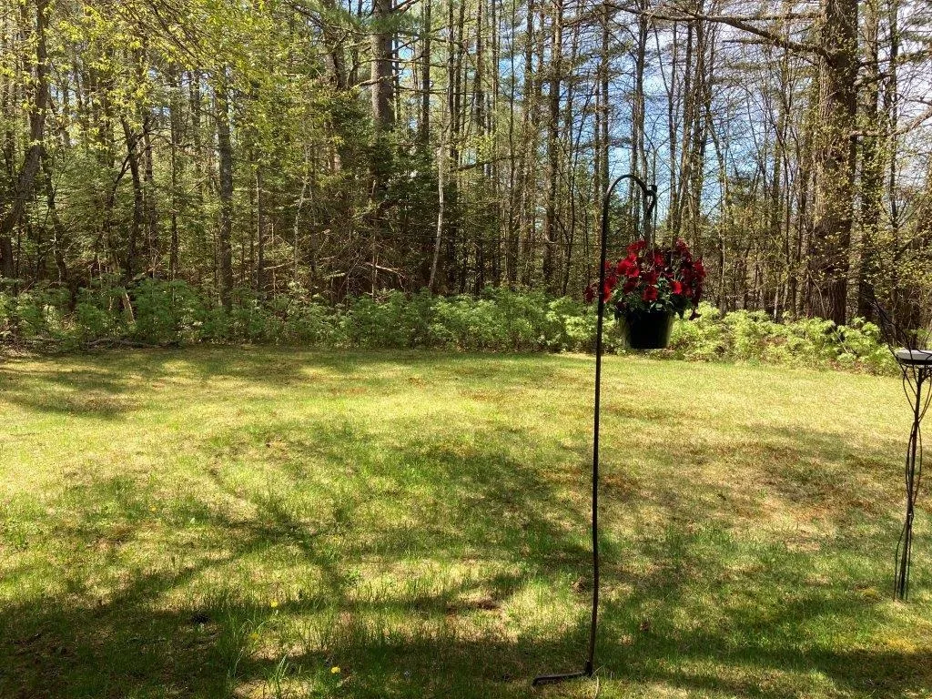 6 Pine Tree Lane Canaan NH 03741