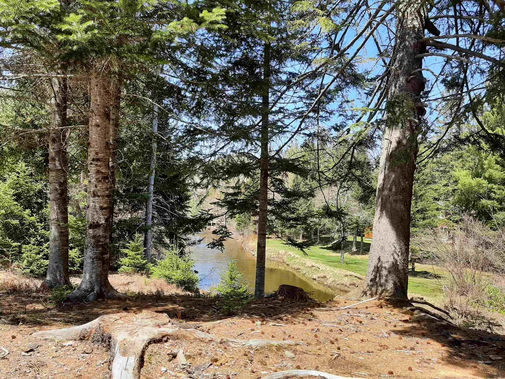 113 Pine Grove Errol NH 03579