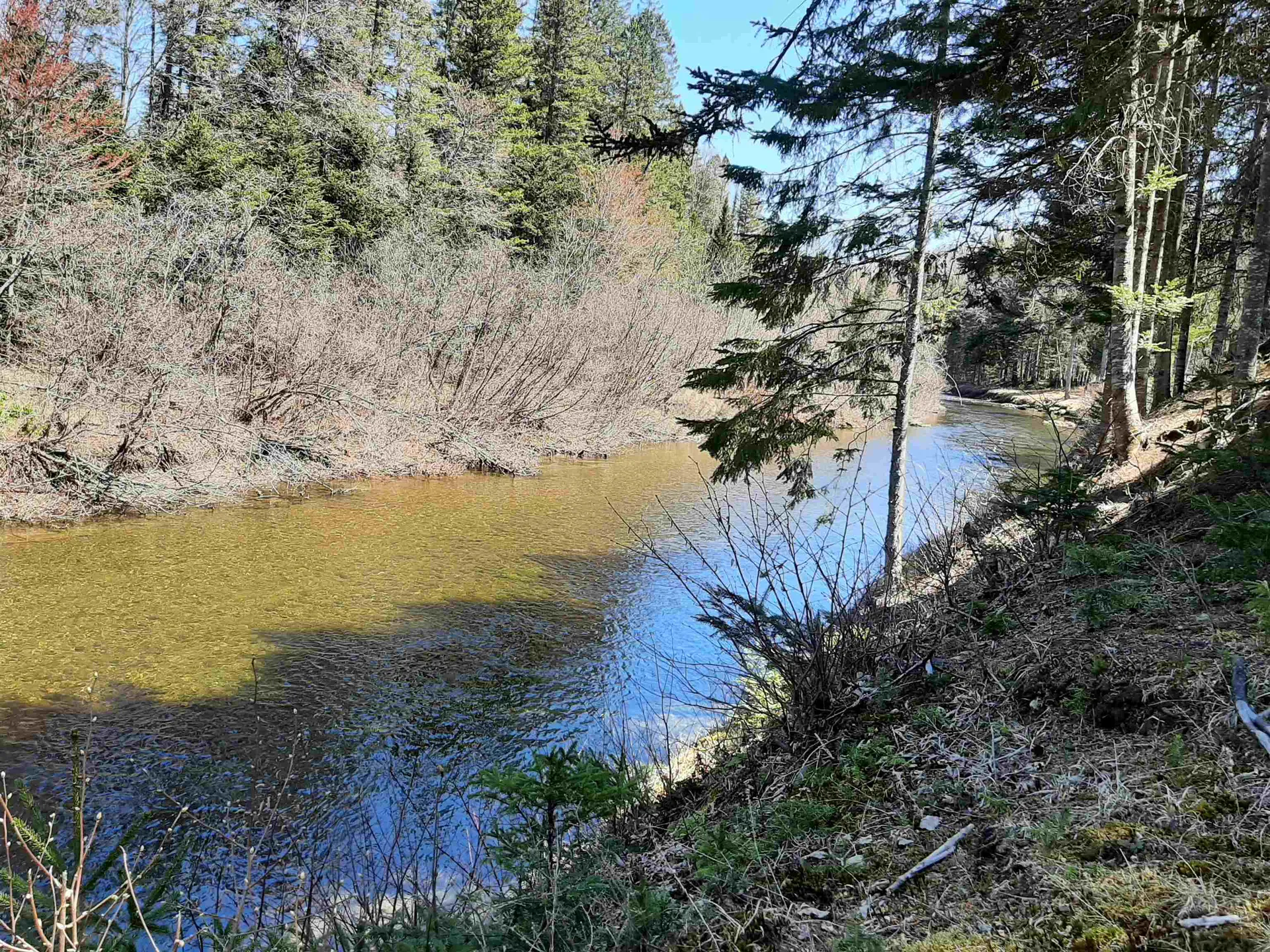 113 Pine Grove Errol NH 03579
