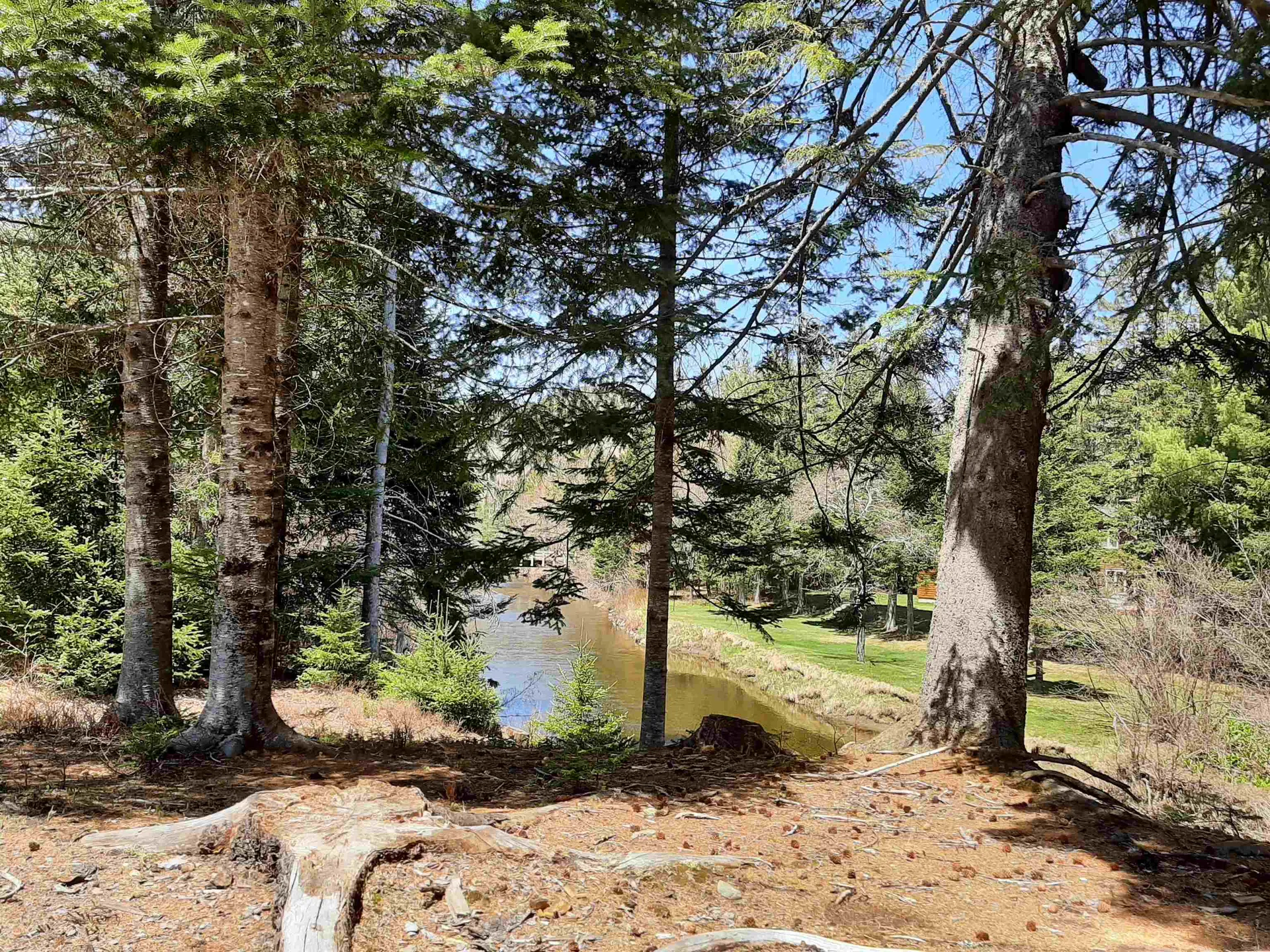 113 Pine Grove Errol NH 03579