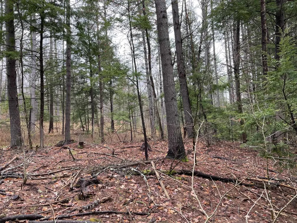 154 Forest Lake Road Winchester NH 03470