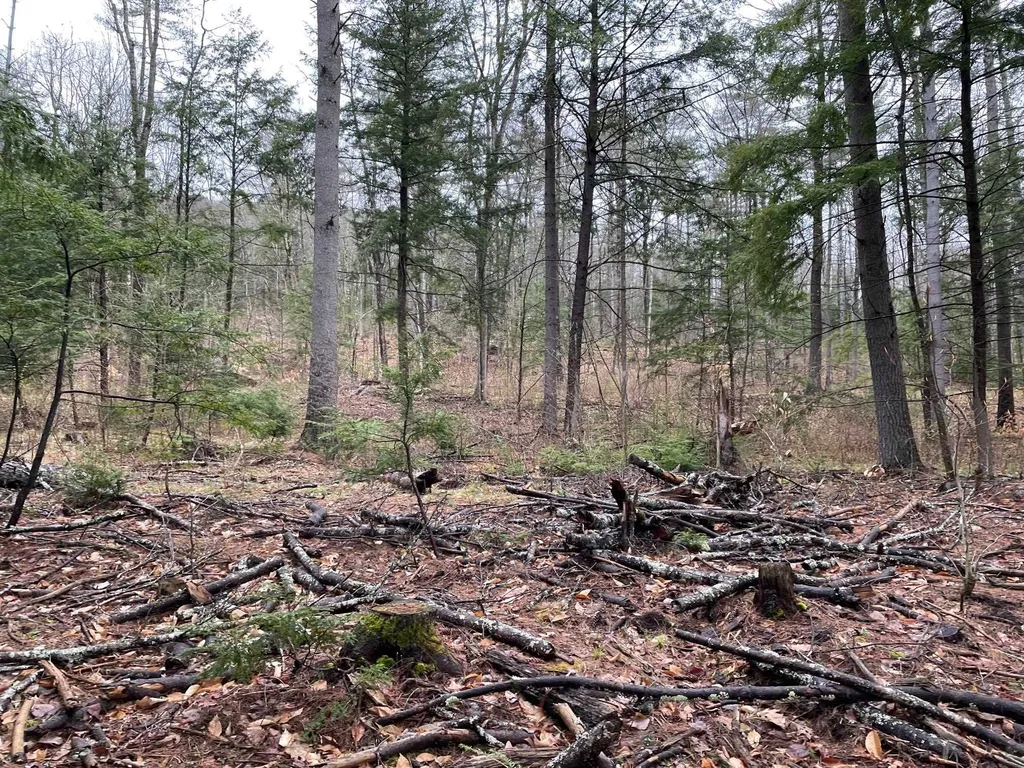 154 Forest Lake Road Winchester NH 03470