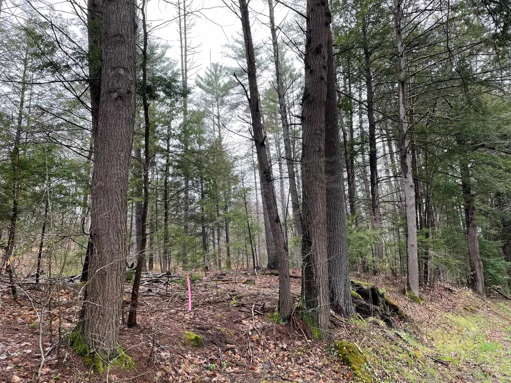 154 Forest Lake Road Winchester NH 03470