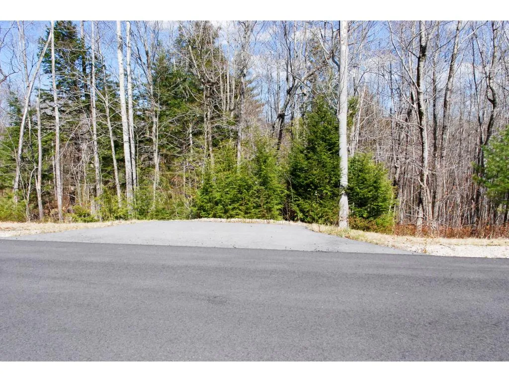 64 Grandview Road Conway NH 03818