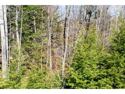 64 Grandview Road Conway NH 03818
