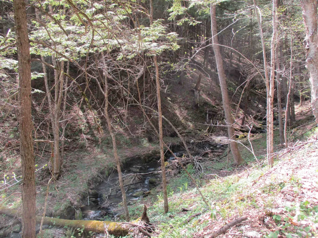 0 Trail 51 Off Boudro/rt 66 Randolph VT 05061