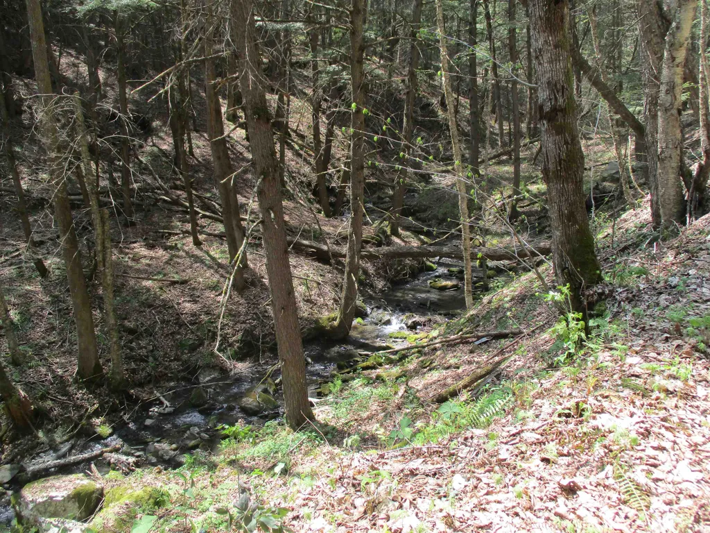 0 Trail 51 Off Boudro/rt 66 Randolph VT 05061