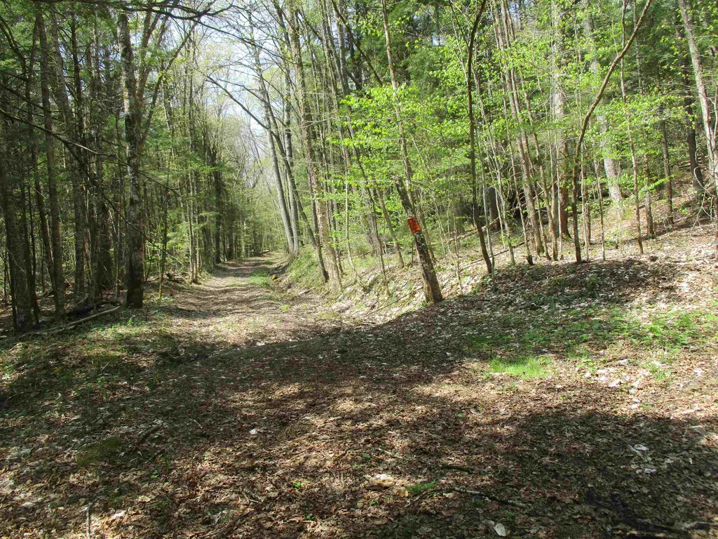 0 Trail 51 Off Boudro/rt 66 Randolph VT 05061