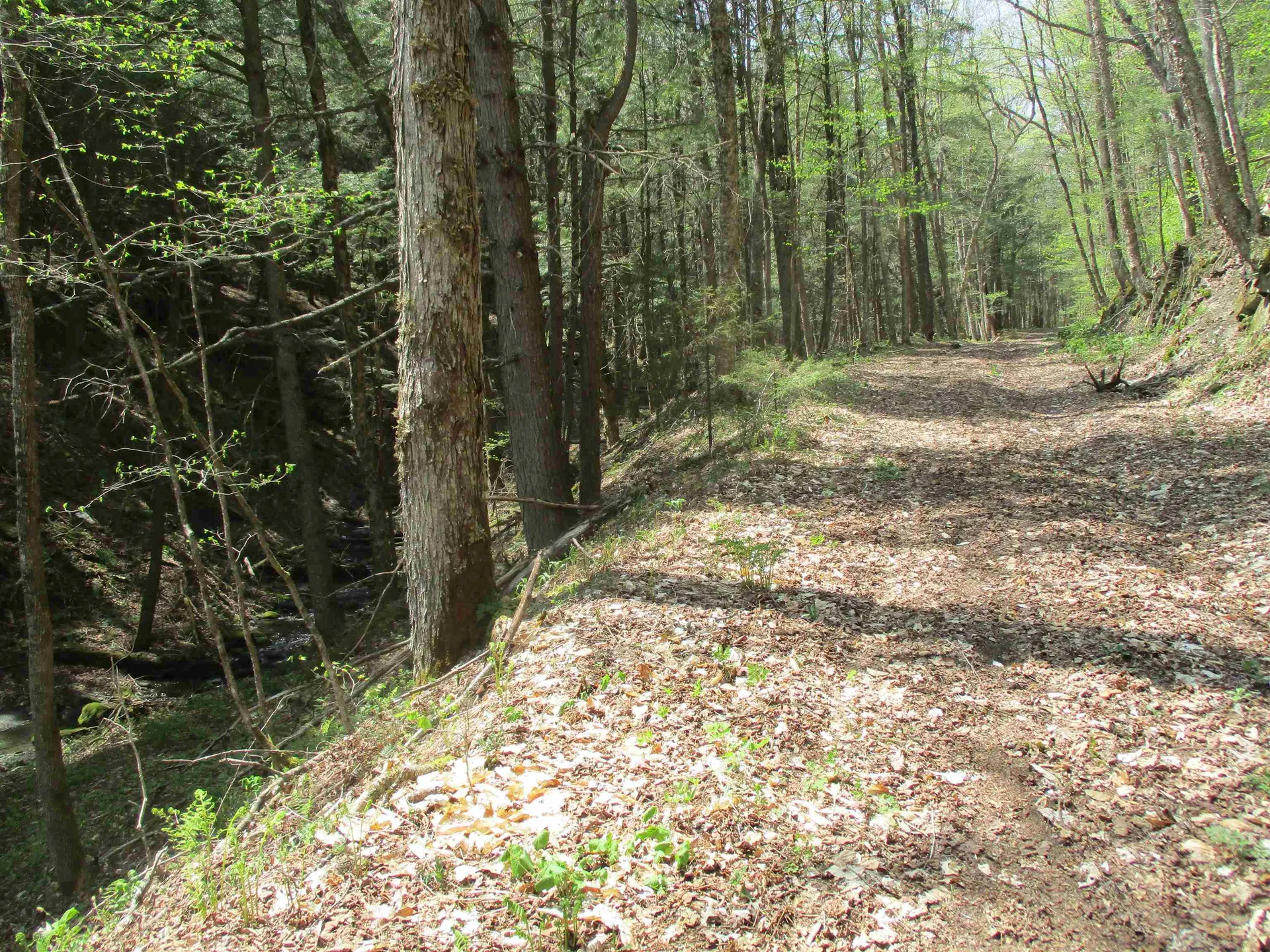 0 Trail 51 Off Boudro/rt 66 Randolph VT 05061