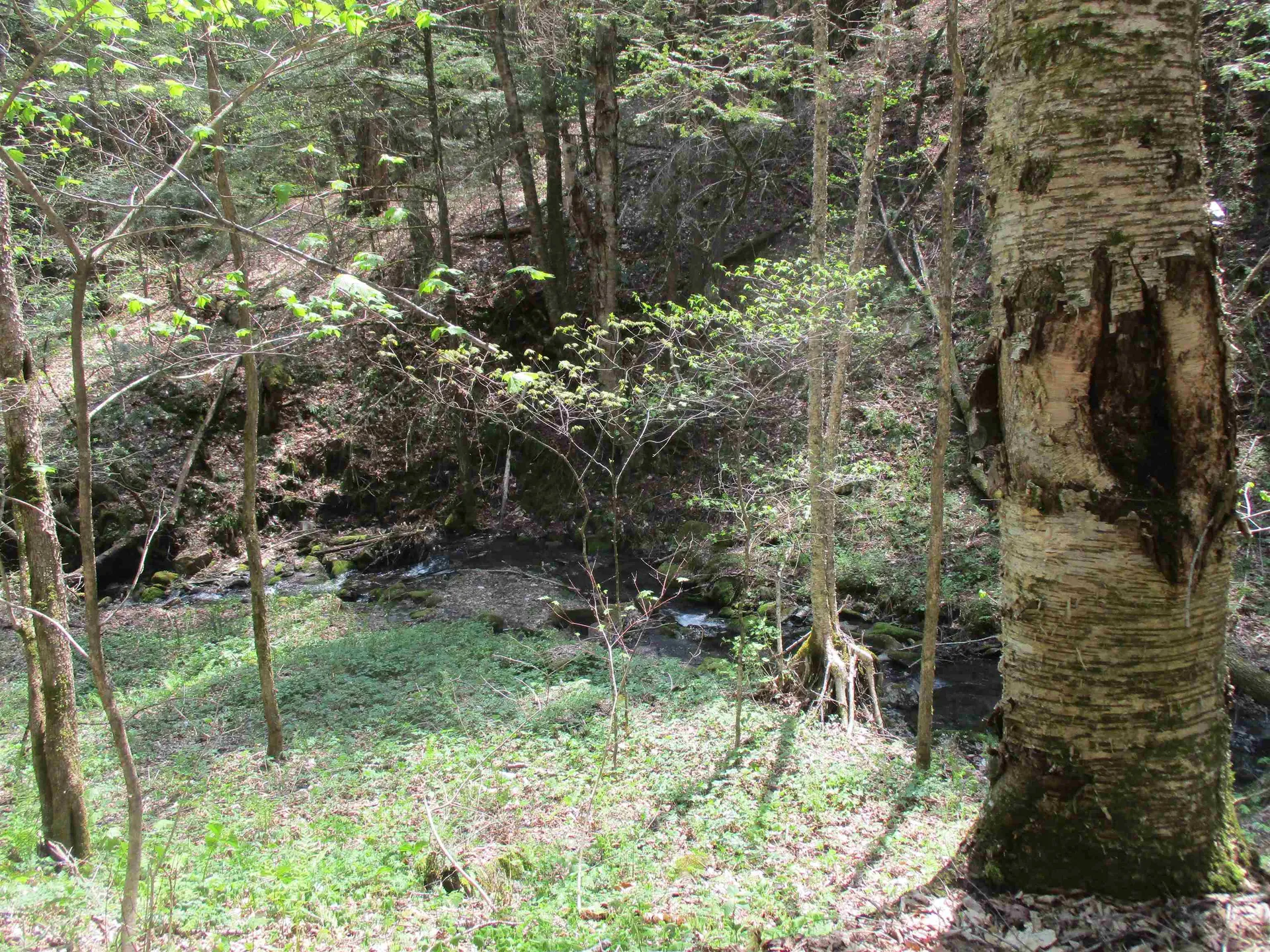 0 Trail 51 Off Boudro/rt 66 Randolph VT 05061