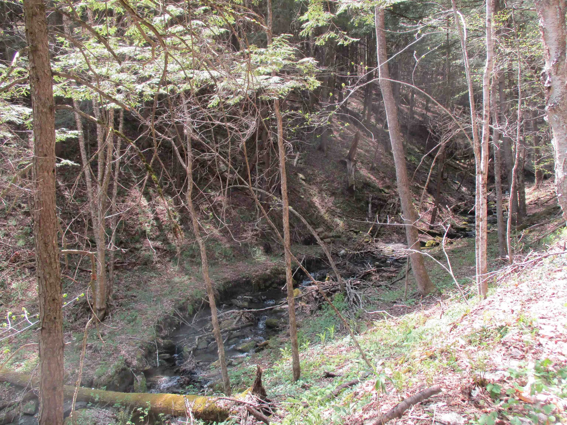 0 Trail 51 Off Boudro/rt 66 Randolph VT 05061
