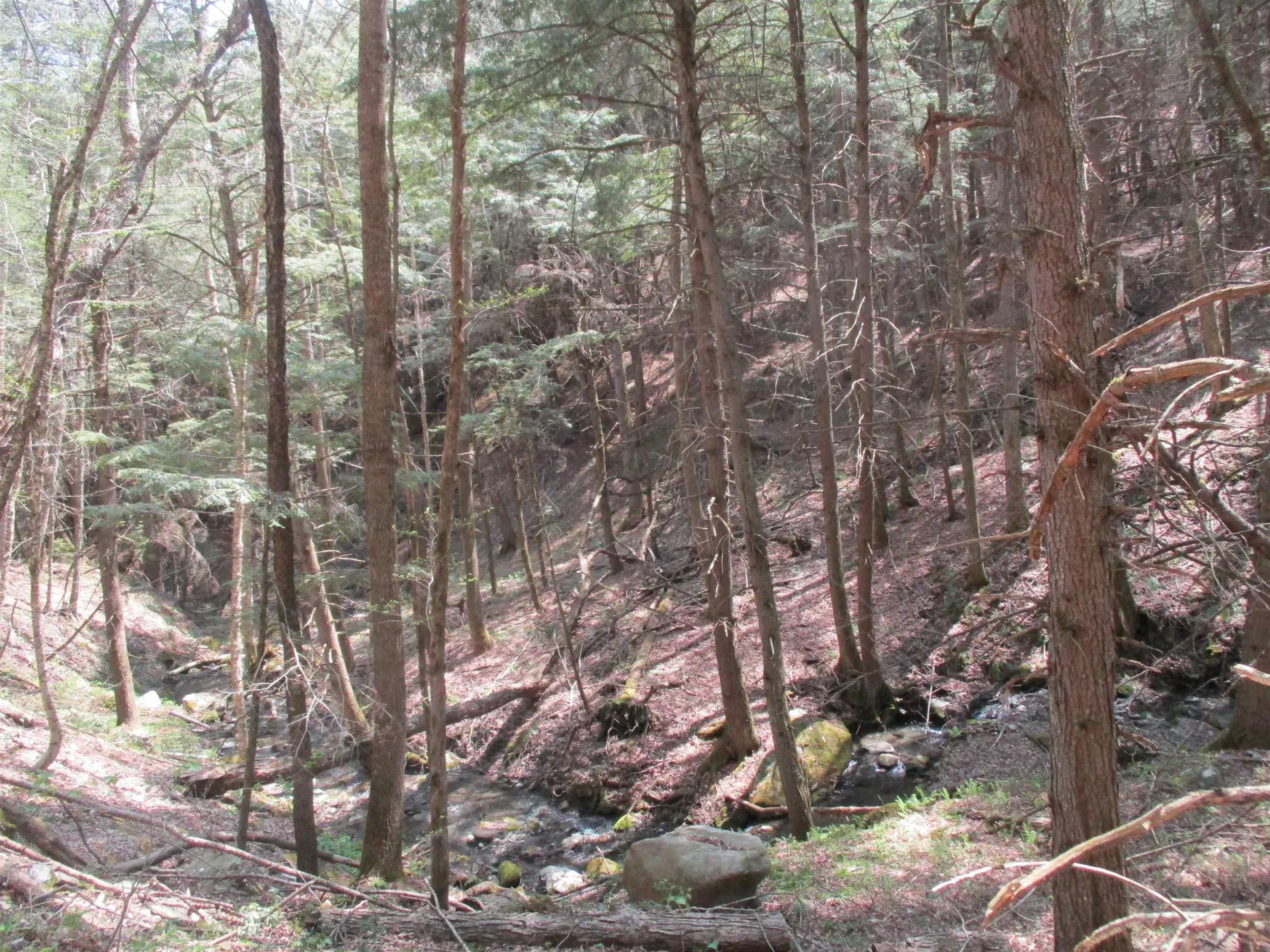 0 Trail 51 Off Boudro/rt 66 Randolph VT 05061