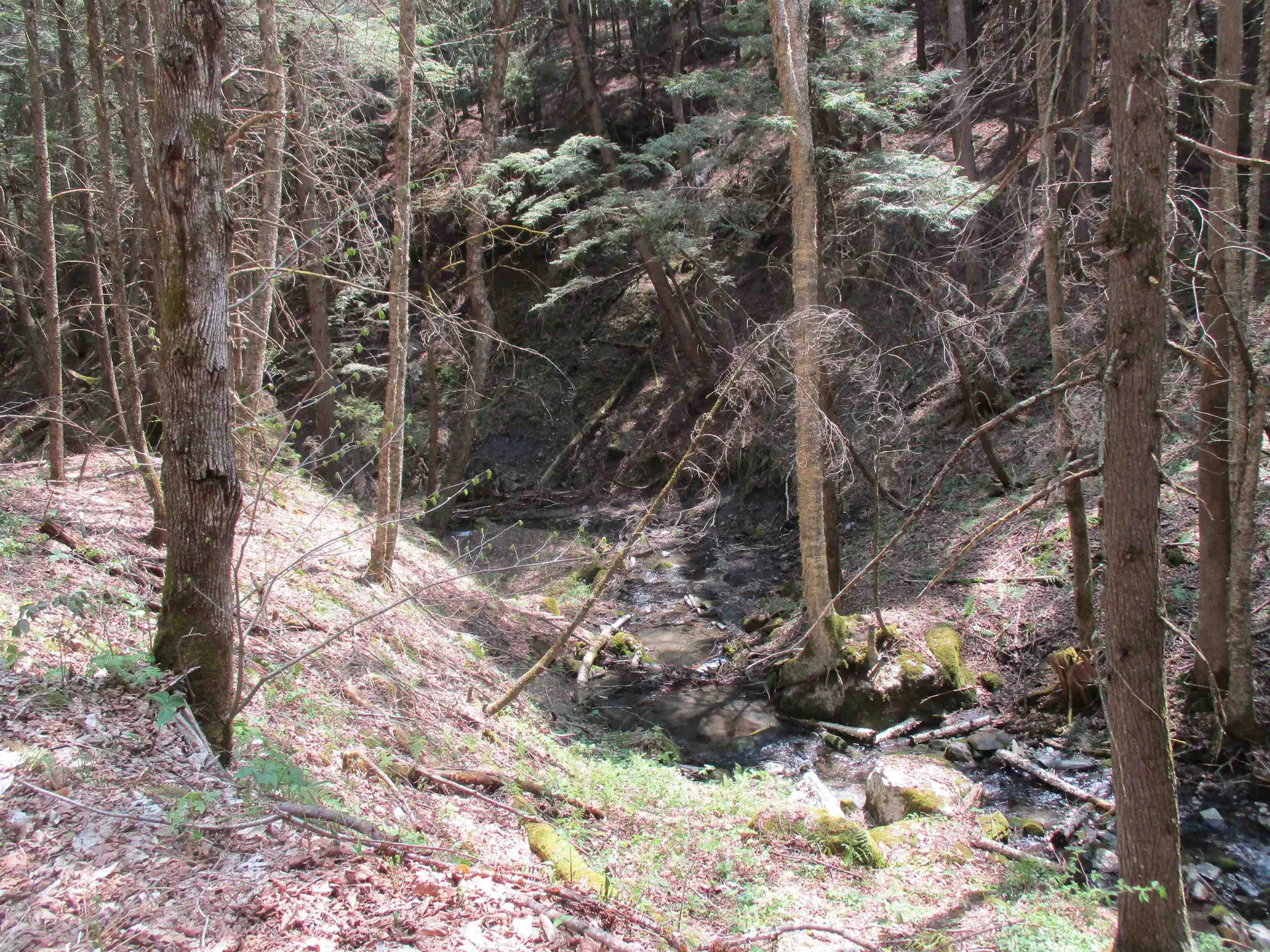 0 Trail 51 Off Boudro/rt 66 Randolph VT 05061