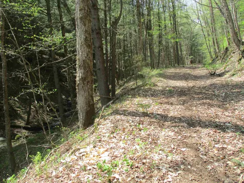 0 Trail 51 Off Boudro/rt 66 Randolph VT 05061