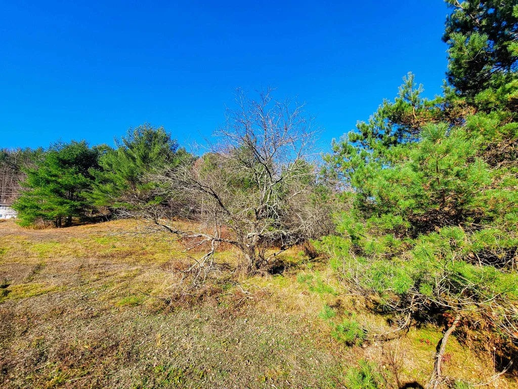 297 Farwell Street Barre Town VT 05641