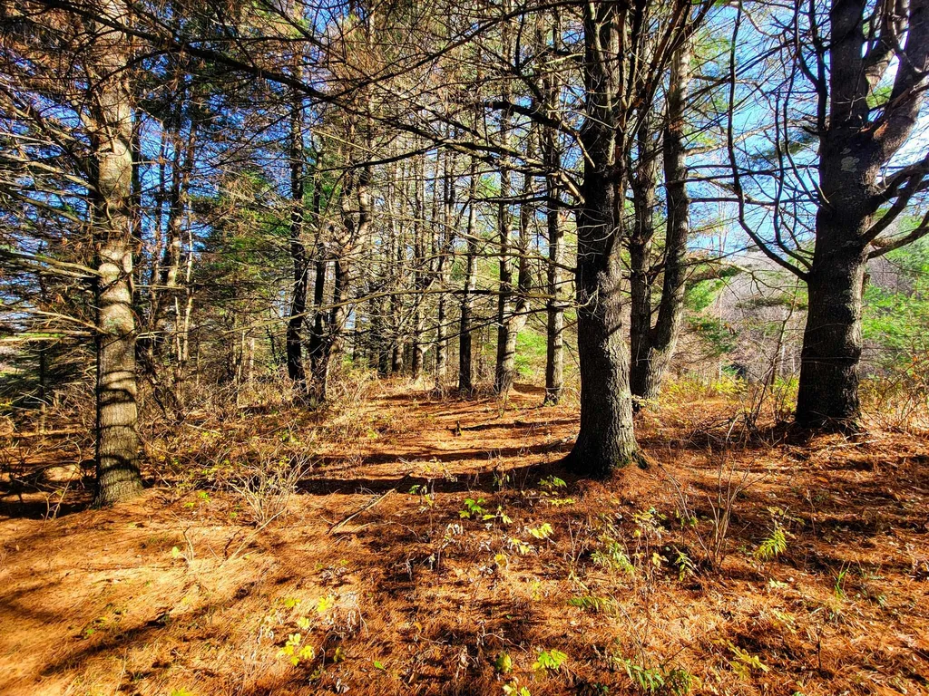297 Farwell Street Barre Town VT 05641