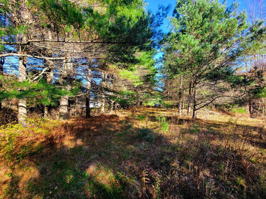 297 Farwell Street Barre Town VT 05641