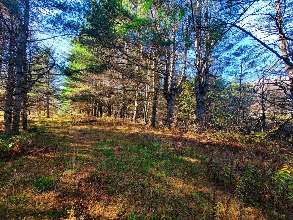 297 Farwell Street Barre Town VT 05641