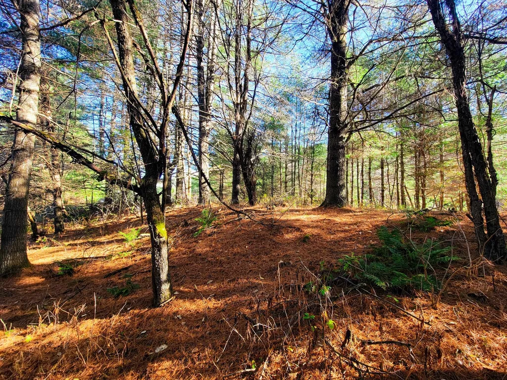 297 Farwell Street Barre Town VT 05641