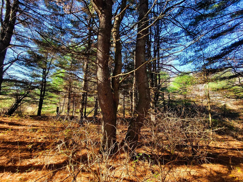 297 Farwell Street Barre Town VT 05641