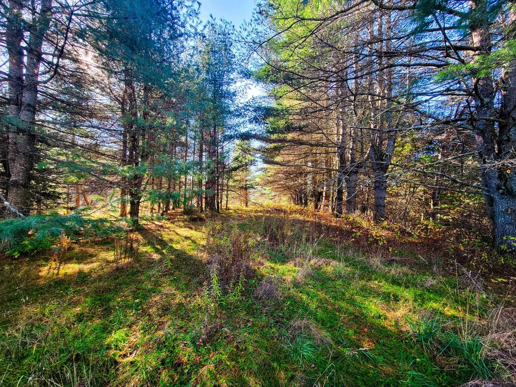 297 Farwell Street Barre Town VT 05641