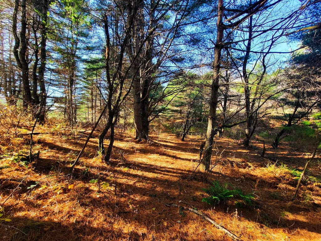 297 Farwell Street Barre Town VT 05641